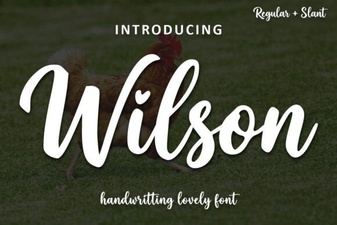 Wilson Font a Modern Typographic Solution